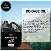 Picture of Naturevibe Botanicals Borage Oil 32 Ounces | 100% Pure and Natural | Great for Skin Care and Hair Care