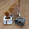 Picture of Kitty City Raised Cat Food Bowl Collection/Stress Free Pet Feeder and Waterer and Slow Feed Bowls
