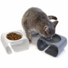 Picture of Kitty City Raised Cat Food Bowl Collection/Stress Free Pet Feeder and Waterer and Slow Feed Bowls