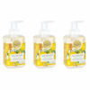 Picture of Michel Design Works Foaming Hand Soap, 17.80-Fluid Ounce, Lemon Basil - 3-PACK