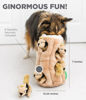 Picture of Outward Hound Hide A Squirrel Plush Dog Toy Puzzle, XL