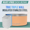 Picture of Coldest Dog Bowl - Anti Rust Metal & Non Slip Dog Bowls Large, Spill Proof Heavy Duty 3 Layers Insulated Dog Bowl - Food and Water Bowl for Dogs, Cats & Pets, Dishwasher Safe (200 oz, Sahara Peach)