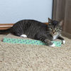 Picture of Kitty City XL Wide Corrugate Cat Scratchers 3 Pieces, Cat Scratching, Cat Scratch Pad, Door Clips, Furniture Protectors from Cat Scratching