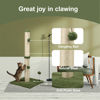 Picture of MECOOL 34“ Tall Cat Scratching Post Premium Basics Kitten Scratcher Sisal Scratch Posts Trees with Hanging Ball for Indoor Cats (34 inches for Adult Cats, Cactus Green)