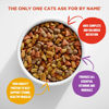 Picture of Meow Mix Original Choice Dry Cat Food, 18 Ounce (Pack of 6), Complete & Balanced Nutrition
