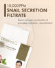 Picture of DERMAL Snail Collagen Essence Facial Mask Sheet 23g Pack of 100 - Skin Regenerating & Trouble Care for Acne Prone Skin, Daily Skin Treatment Solution Sheet Mask