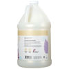 Picture of Ginger Lily Farms Botanicals All-Purpose Liquid Hand Soap Refill, Fragrance Free, 100% Vegan & Cruelty-Free, 1 Gallon