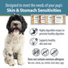 Picture of JustFoodForDogs Frozen Fresh Dog Food for Sensitive Skin & Stomach Human Grade Dog Food Variety Pack, Complete Meal or Dog Food Topper, 18 oz (Pack of 7)