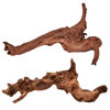 Picture of majoywoo Natural Large Driftwood for Aquarium Decor Reptile Decor, Fewer Branches 12.5-18" 2Pcs