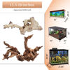 Picture of majoywoo Natural Large Driftwood for Aquarium Decor Reptile Decor, Fewer Branches 12.5-18" 2Pcs