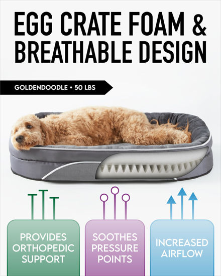 Image result for GetUSCart- OhGeni Orthopedic Dog Bed for Extra Large Dogs, Oversized ...