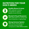 Picture of IAMS Proactive Health Senior Dog Food Healthy Aging Dry Dog Food with Real Chicken, 15 lb. Bag