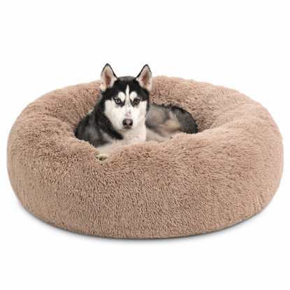 36 inch round dog bed deals