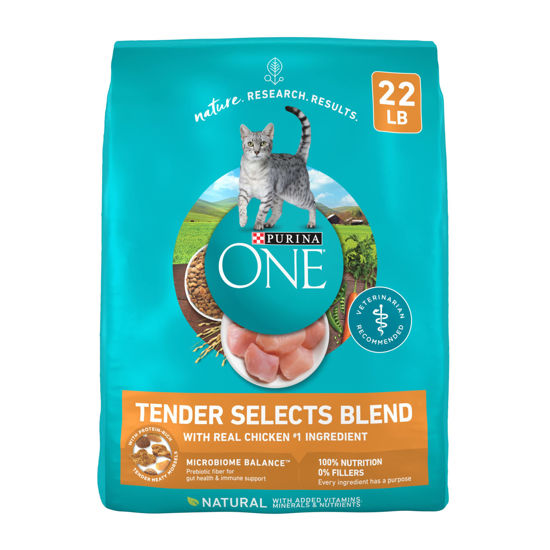 Picture of Purina ONE Natural Dry Cat Food, Tender Selects Blend With Real Chicken - 22 lb. Bag