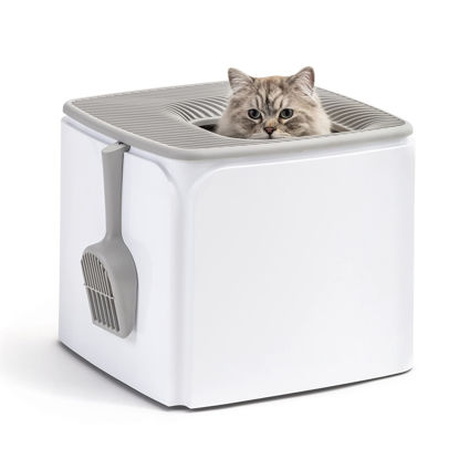 Picture of IRIS USA Premium Square Top Entry Cat Litter Box with Scoop, Kitty Litter Pan with Litter Particle Catching Cover and Privacy Walls, White/Gray