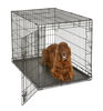 Picture of New World Newly Enhanced Single Door New World Dog Crate, Includes Leak-Proof Pan, Floor Protecting Feet, & New Patented Features, 42 Inch