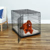 Picture of New World Newly Enhanced Single Door New World Dog Crate, Includes Leak-Proof Pan, Floor Protecting Feet, & New Patented Features, 42 Inch