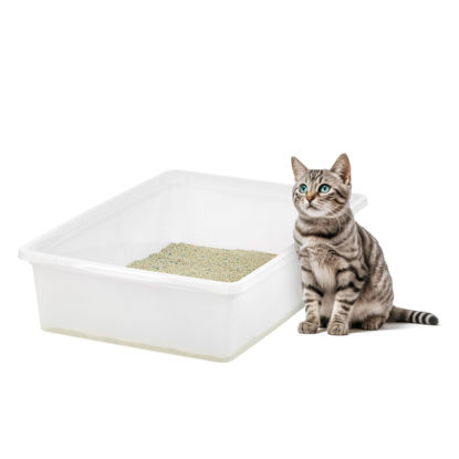 Picture of IRIS USA Large Open Top Cat Litter Tray, Sturdy Comfortable Easy to Clean Easy Access Open Air Senior Cat Kitty Rabbit Bunny Litter Pan Indoor, Pearl