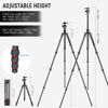 Picture of NEEWER 66"/168cm Carbon Fiber Tripod for Camera with 360° Panorama Ball Head, 1/4" Arca QR Plate, Portable Bag, Compact Travel Tripod Monopod for DSLR Video Camcorder, Max Load 26.5lb/12kg, N55C