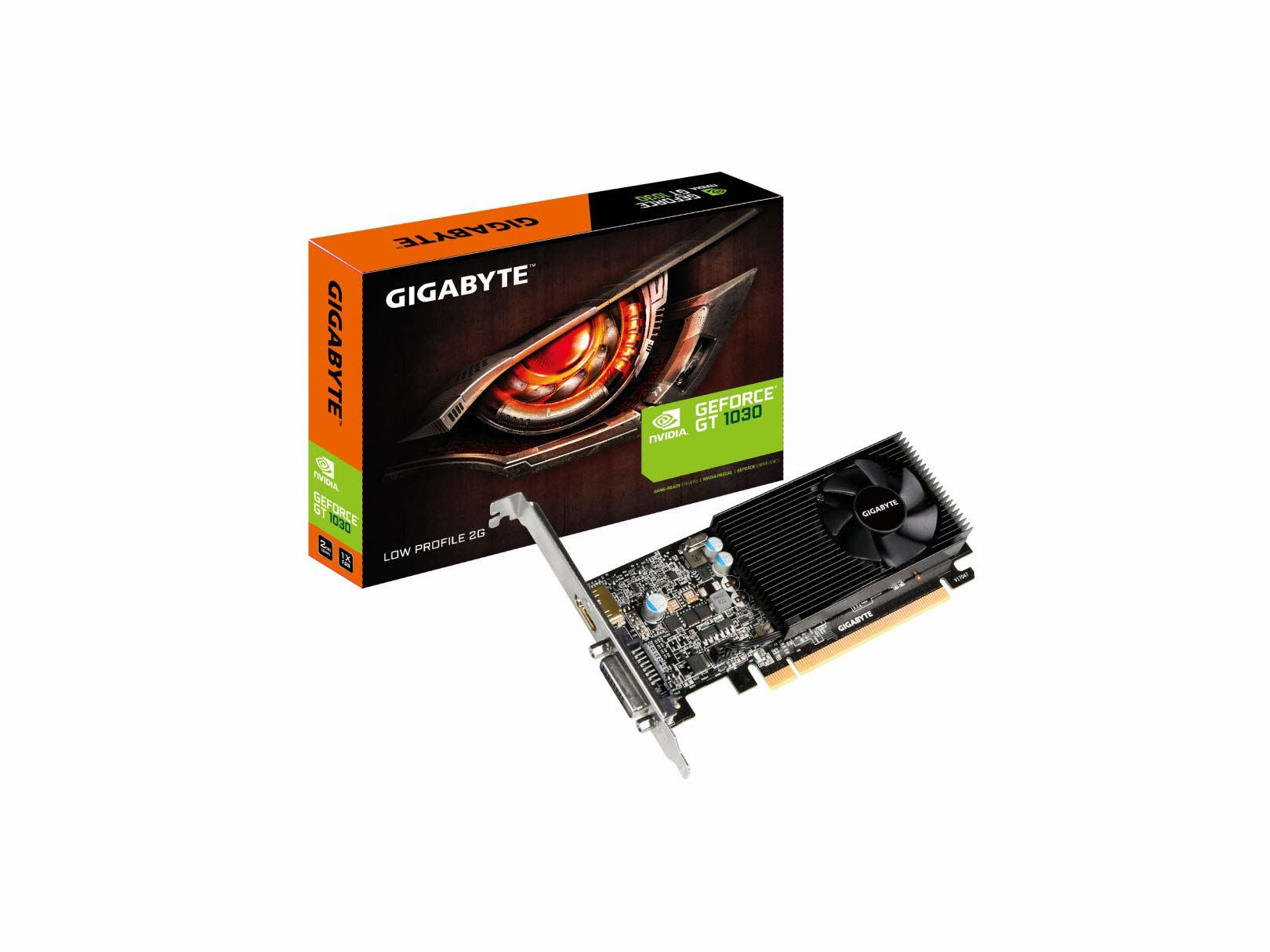 GetUSCart- GIGABYTE GV-N1030D4-2GL GeForce GT 1030 Low Profile D4 2G ...