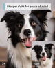 Picture of blurams Pet Camera, 2K Dog Camera with Phone App, Indoor Security Camera, 360° PTZ Cameras for Home Security Indoor, 2-Way Talk, Motion Tracking, Color/IR Night Vision, Cloud&SD(2.4GHz Only - 2 Pack)