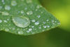 Picture of 10x High Definition Multi-Element Close-Up (Macro) Lens Compatible with Panasonic Lumix DC-LX100 II (43mm)