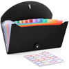 Picture of Nicecho Receipt Coupon Organizer, 13 Pockets Small Accordion File Organizer with Labels for Receipt Cards, Bill Business, Coupons Storage, 10.2X 5.1 Inches