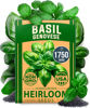 Picture of HOME GROWN Genovese Basil Seeds Pack - 1750 High Germination, Non-GMO Heirloom Seeds (Ocimum basilicum) - Perfect Herb Seeds for Planting Indoor & Outdoor Gardening - Grow Basil Plant for Culinary Use