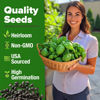 Picture of HOME GROWN Genovese Basil Seeds Pack - 1750 High Germination, Non-GMO Heirloom Seeds (Ocimum basilicum) - Perfect Herb Seeds for Planting Indoor & Outdoor Gardening - Grow Basil Plant for Culinary Use