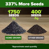 Picture of HOME GROWN Genovese Basil Seeds Pack - 1750 High Germination, Non-GMO Heirloom Seeds (Ocimum basilicum) - Perfect Herb Seeds for Planting Indoor & Outdoor Gardening - Grow Basil Plant for Culinary Use