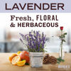 Picture of Mrs. Meyer's Clean Day Liquid Hand Soap Refill, Lavender Scent, 33 fl oz (651318)