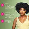 Picture of Mielle Organics Rosemary Mint Scalp & Hair Strengthening Oil for All Hair Types, 2 Ounce