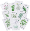 Picture of Sereniseed Certified Organic Herb Seeds (10-Pack) - Non GMO, Heirloom - Seed Starting Video - Basil, Cilantro, Oregano, Thyme, Parsley, Lavender, Chives, Sage, Dill Seeds for Indoor & Outdoor Planting