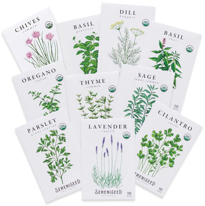 Picture of Sereniseed Certified Organic Herb Seeds (10-Pack) - Non GMO, Heirloom - Seed Starting Video - Basil, Cilantro, Oregano, Thyme, Parsley, Lavender, Chives, Sage, Dill Seeds for Indoor & Outdoor Planting