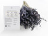 Picture of Sereniseed Certified Organic Herb Seeds (10-Pack) - Non GMO, Heirloom - Seed Starting Video - Basil, Cilantro, Oregano, Thyme, Parsley, Lavender, Chives, Sage, Dill Seeds for Indoor & Outdoor Planting