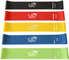 Picture of Fit Simplify Resistance Loop Exercise Bands with Instruction Guide and Carry Bag, Set of 5
