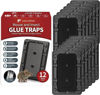 Picture of LULUCATCH Mouse & Insect Traps 12 Pack, Heavier Sticky Traps with Non-Toxic Glue for Small Mice & Insects. Sticky Mouse Traps Indoor, Easy to Set, Safe to Children & Pets