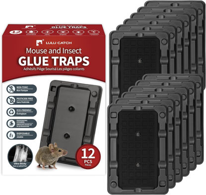 Picture of LULUCATCH Mouse & Insect Traps 12 Pack, Heavier Sticky Traps with Non-Toxic Glue for Small Mice & Insects. Sticky Mouse Traps Indoor, Easy to Set, Safe to Children & Pets