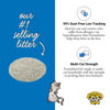 Picture of Dr. Elsey's Premium Clumping Cat Litter - Ultra - 99.9% Dust-Free, Low Tracking, Hard Clumping, Superior Odor Control, Unscented & Natural Ingredients