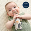 Picture of Itzy Ritzy Pacifier & Lovey Set - Natural Rubber Pacifier with Stuffed Animal Lovey - Detachable Plush Cow Pacifier Holder & Coordinating Natural Rubber Pacifier, Ideal for Ages 0-6 Months (Cow)