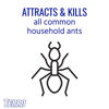 Picture of TERRO T300B Liquid Ant Killer, 12 Bait Stations