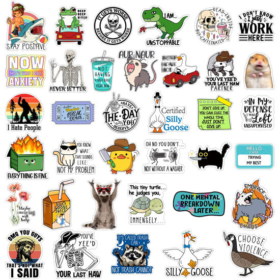 Picture of Chivertion 400 Pcs Funny Stickers for Adults Funny Water Bottles Stickers Pack Waterproof Cool Stickers for Laptop, Bumper, Phone, Hard Hats, Wall, Window Decals Decors, 50 Styles (Funny Style)