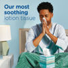 Picture of Puffs Plus Lotion Facial Tissues, 8 Family Boxes, 124 Facial Tissues per Box, Allergies and Colds