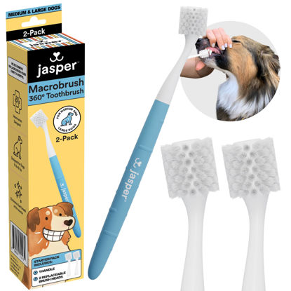 Picture of Jasper Macrobrush 360º, Dog Toothbrush for Medium to Large Dogs, Soft-Bristled Dog Tooth Brushing Kit - Premium Non-Slip Handle with 2 Replaceable Tooth Brush Heads, Use with Dog Toothpaste