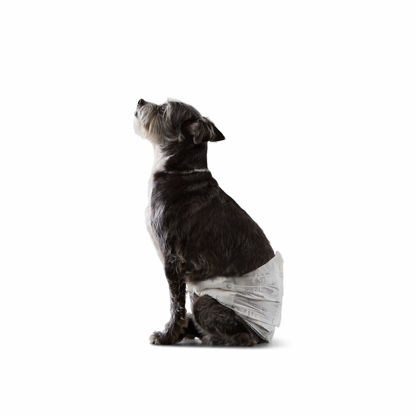 Picture of Amazon Basics Male Dog Wrap, Disposable Male Dog Diapers, Small, Pack of 30, White