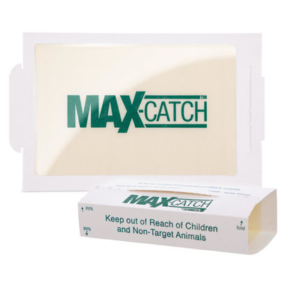 Picture of Catchmaster Max-Catch Mouse & Insect Glue Trap 36pk, Mouse Traps Indoor for Home, Sticky Pest Control Adhesive Tray for Catching Bugs, Rats & Rodents, Non Toxic Bulk Pre-Baited Glue Boards