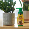 Picture of Miracle-Gro Indoor Plant Food, Liquid Plant Food for Houseplants, Snake Plants, Peace Lilies, Flowers, Vegetables, Herbs and More, 8 oz., 3-Pack