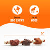 Picture of Good'N'Fun Triple Flavored Rawhide Kabobs for Dogs