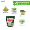 Picture of Nature Jims Sprouts Salad Sprout Mix - Organic Salad Mix for Growing - Non-GMO Microgreen Seeds - Healthy Broccoli, Alfalfa, Radish, Clover Sprouting Seeds Variety Mix - Microgreens Growing 1lb