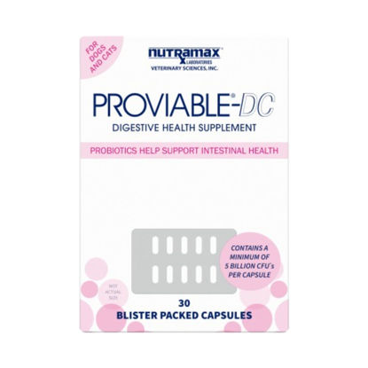 Picture of Nutramax Proviable Digestive Health Supplement Multi-Strain Probiotics and Prebiotics for Cats and Dogs - With 7 Strains of Bacteria, 30 Capsules